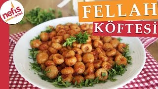 Fellah Köftesi Tarifi  Bulgur Köftesi  Nefis Yemek Tarifleri [upl. by Aztilem275]