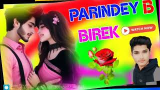 PARINDEY B BIREK DJ Remix Song Dholki Mix Song Dj Ambe Jiroli heera singh Aligarh up [upl. by Nazay]