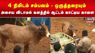 4 நிமிடம் சம்பவம்  ஒருத்தரையும் அசைய விடாமல் களத்தில் ஆட்டம் காட்டிய காளை  Pudukottai Jallikattu [upl. by Ekusoyr]