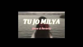 TU JO MILYASlow amp Reverb thesongpk [upl. by Frodin]