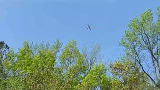 Watching airplanes in Wakefield VA [upl. by Modie82]