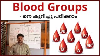 Blood grouping in Malayalamph 8921650967 [upl. by Beth]