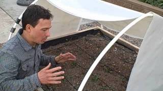 Winter Vegetable Gardening in the Desert amp How to Make a Cockroach Trap [upl. by Kaitlin]