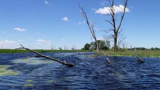 Kayaking the Scuppernong River in Wisconsin [upl. by Enos]