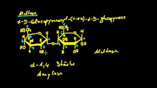 Organische Chemie  11 Kohlenhydrate 3  Disaccharide [upl. by Weinrich481]