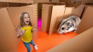 Nastya and the hamsters escape from the cardboard maze [upl. by Ylak]