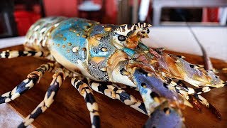 Indonesian Street Food  GIANT RAINBOW LOBSTER Sashimi Manado Seafood Indonesia [upl. by Eniluj245]