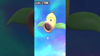 Bellsprout  Weepinbell  Victreebel  Evolution in Scarlet amp Violet pokemon evolution shorts [upl. by Rutra]