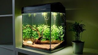 Setting Up Low Tech Betta Fish Aquarium [upl. by Ahsayn751]