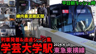 【東横線最混雑区間】学芸大学駅列車発着amp通過シーン集東急東横線東横線東急線東急朝ラッシュ2024410 [upl. by Daffie32]