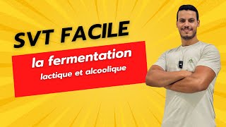 la fermentation lactique et alcoolique [upl. by Imot]