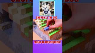 Magnetic Papercraft  Minecraft Magnet Blocks Reaction By Chopsicle The Dog [upl. by Yanel]