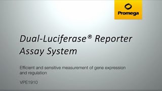 DualLuciferase® Reporter Assay System [upl. by Kcira]