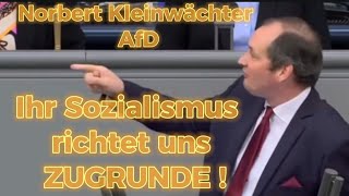 Norbert KleinwächterAfD  🚨IHR SOZIALISTEN SEIT DER UNTERGANG UNSERE NATION [upl. by Gnuhn]