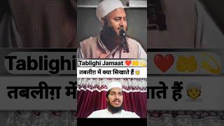 Tabligi jamaat mein kya sikhate haintablighibayanat bayan shorts [upl. by O'Mahony]