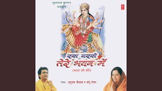 Tera Dwar Chhod Ke Na Jana Maa [upl. by Pradeep]