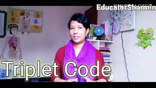 Triplet Code Biology EducatorSharmin [upl. by Ahpla394]