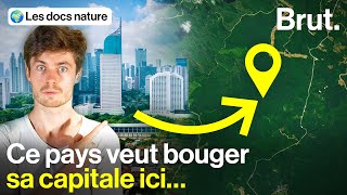 Une capitale futuriste géante… en pleine forêt [upl. by Tegdirb]