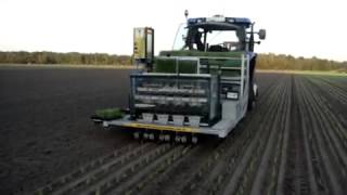 Automatic onion planting with 4 row transplanter [upl. by Rao]