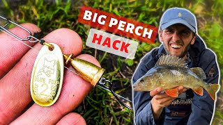 Perch Fishing HACK How to catch BIG PERCH on Spinners [upl. by Raynard533]