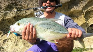 Ultralight fishing micro jig kecil di hajar GT babon ‼️‼️‼️ultralightfishing relixnusantara bali [upl. by Acalia457]