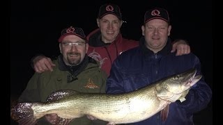 Edersee Guiding auf Barsch Zander und Hecht mit Dimitri Schill [upl. by Halle]