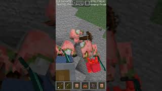 Wandering traders vs pigling sowred flight minecraft minecraftserver youtube [upl. by Neetsirk840]