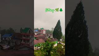 Sittong Treaking 🌿🌲🧚🧎‍♀️❤️🌲🌿☘️ treaking sittong homestay travel pahari [upl. by Asela831]