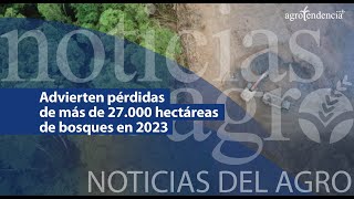 🔴 Advierten pérdidas de más de 27000 hectáreas de bosques en 2023  NDA [upl. by Erdnoid]