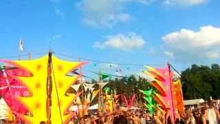 Psychedelic Circus Festival 2013  Audiomatic 01  PACELAND [upl. by Bamford]