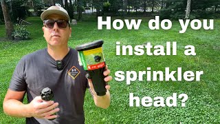 How to Install a Sprinkler Head  StepbyStep Tutorial [upl. by Pacian104]