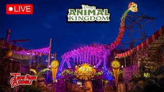 LIVE Afternoon  Animal Kingdom Holidays Are Here  111324 [upl. by Aleras]