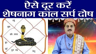 शेषनाग कालसर्प योग क्या होता है  कैसे करें दूर। Remedies for Sheshnag Dosha  Boldsky [upl. by Ilera547]