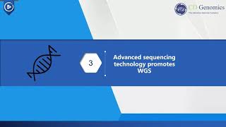 Methods and Workflow of Whole Genome Sequencing [upl. by Bronwyn]