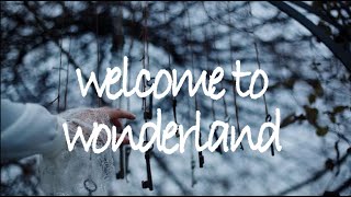 welcome to wonderland  anson seabra  lyric video [upl. by Yrrat143]