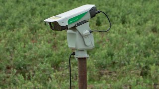 Most Intelligent and Effective Bird Deterrent  AVIX Autonomic Mark II [upl. by Berry]