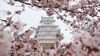 Snapchat Stories  Himeji Castle [upl. by Corwun]