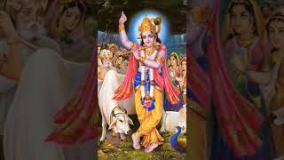 Shree Gobardhan maharaj 🏔️Jai shree Krishna krishna gobardhan vrndavan trending shorts [upl. by Eniamor]