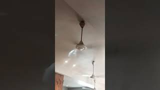 Noise celling fan and pls support tanishqceilingfans [upl. by Shanleigh]