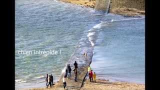 le long de la Rance  de Dinan à Saint Malo [upl. by Naryb]