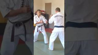 Enshin Karate Sabaki karate karateka空手空手道格闘技shorts [upl. by Idnat]