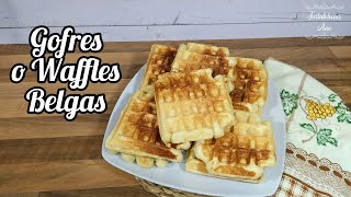 GOFRES BELGAS CASEROS Fáciles Siempre me piden esta receta❗ [upl. by Jacquetta]