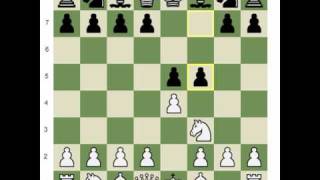 Chesscom Creating an Opening Repertoire [upl. by Atteinotna]