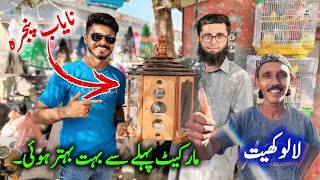 Lalukhet Sunday Birds Market 2024 Latest Update in Urdu Hindi Ep117  Sunday Birds Market Karachi [upl. by Valora]