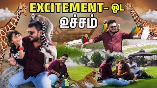 குரங்குக்கே Love Failureஆ😱 Dubai Series EP  10  Vj Siddhu Vlogs [upl. by Russi]