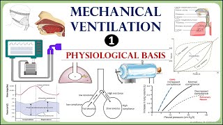 Mechanical Ventilation physiology  Lung mechanics compliance and resistance [upl. by Leina]