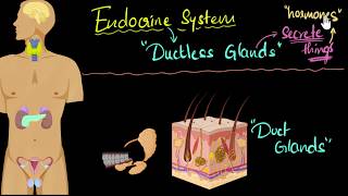 Endocrine system major hormones amp functions  Control amp Coordination  Biology  Khan Academy [upl. by Anatnom]