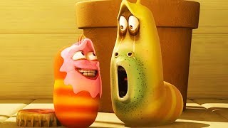 LARVA  BUBBLEGUM POP  Cartoon Movie  Cartoons  Comics  Larva Cartoon  LARVA Official [upl. by Awra179]