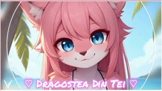 「Nightcore」➫ Dragostea Din Tei ♡♬3D2024VivziDJ [upl. by Sulakcin]