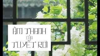 Vietsubpinyin Âm thanh của tuyết rơi  Châu Thâm  雪落下的声音  周深 [upl. by Hauger927]